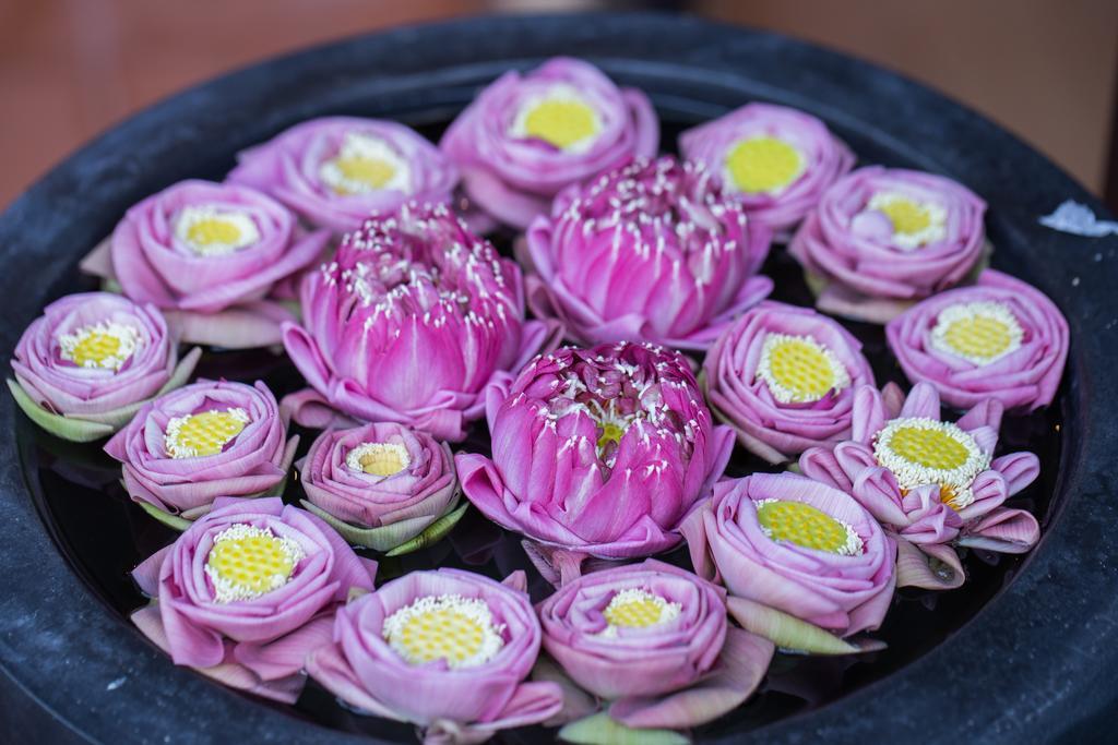 Angkor'S Sunshine Bed and Breakfast Siem Reap Exteriör bild